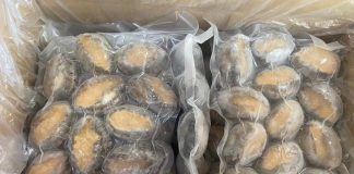 Mua bào ngư đông lạnh giá sỉ tại Hải Sản Trung Nam Mua bào ngư đông lạnh giá sỉ