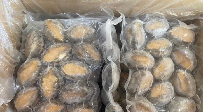 Mua bào ngư đông lạnh giá sỉ tại Hải Sản Trung Nam Mua bào ngư đông lạnh giá sỉ